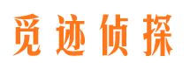 印台市调查公司